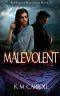 [The Puzzle Box Trilogy 01] • Malevolent